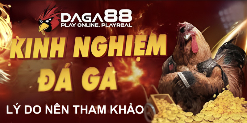 chuyen-muc-kinh-nghiem-da-ga-tai-daga88