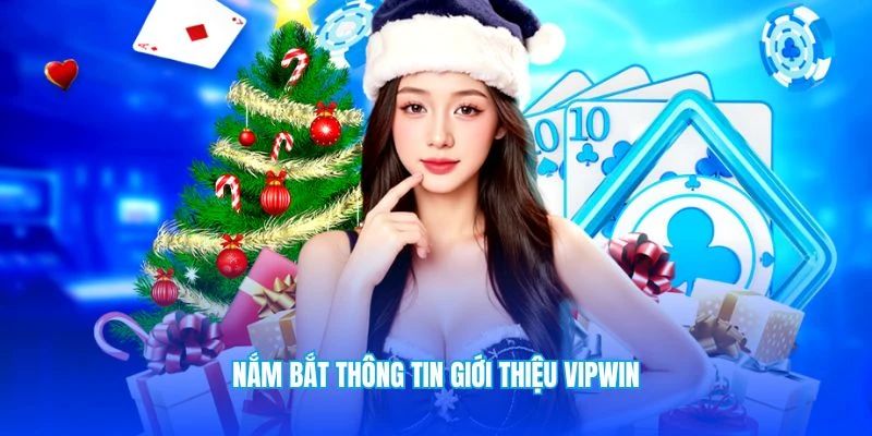 doi-net-thong tin-vipwin